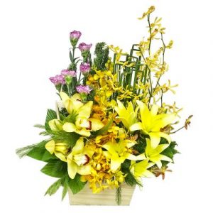 A basket of Yellow Orchid